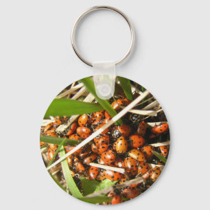 Ladybugs (Coccinellidae) Keychain
