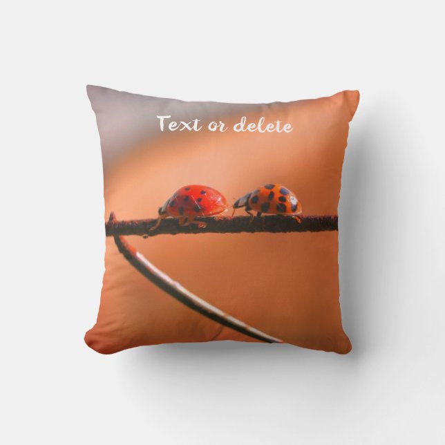 Ladybugs Follow The Leader Personalized  Throw Pillow (Front)