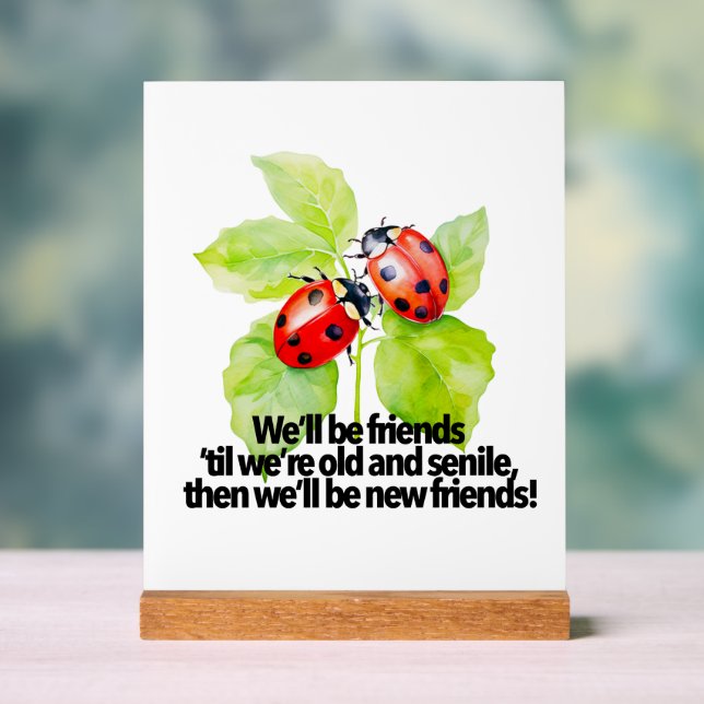 Ladybugs friendship quote funny Anniversary BFF (Neutre)