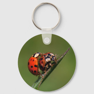 Ladybugs In Love Keychain