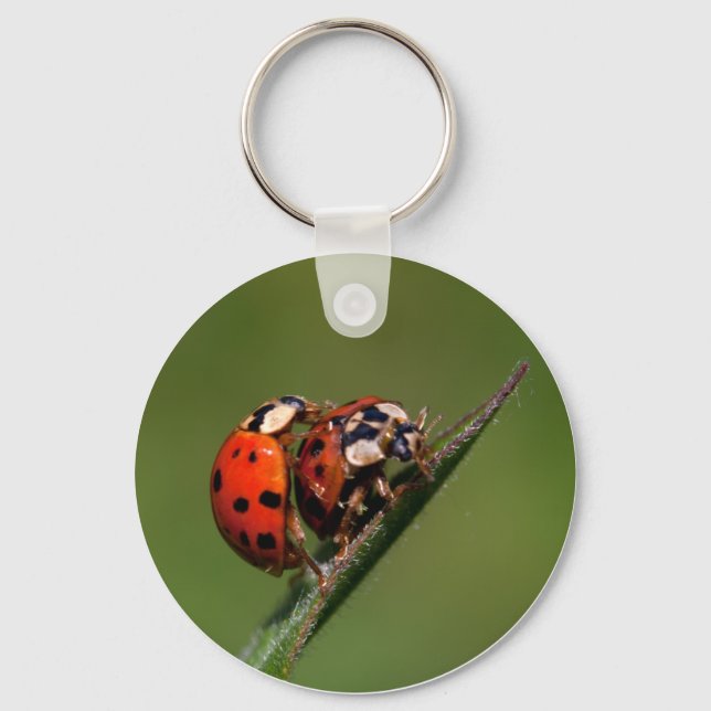 Ladybugs In Love Keychain (Front)