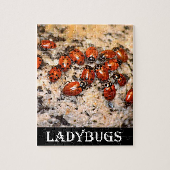 Ladybugs Jigsaw Puzzle (Vertical)