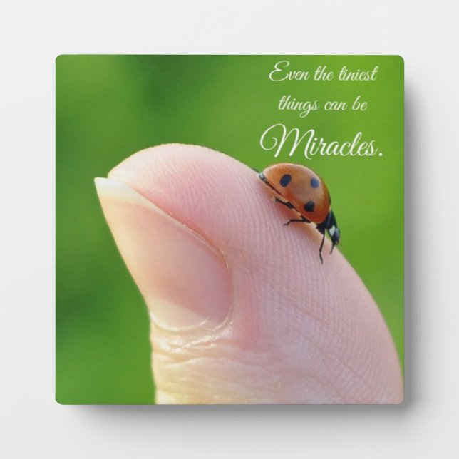 Ladybugs "Les plus petits miracles" Plaque cadeau (Devant)