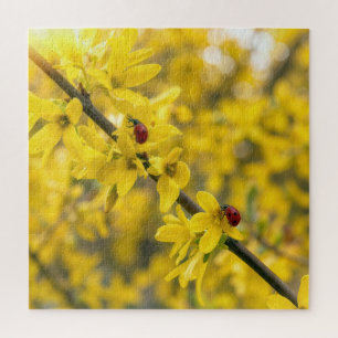 Ladybugs on Yellow Forsythia Branch Jigsaw Puzzle