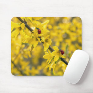 Ladybugs on Yellow Forsythia Branch Mouse Pad