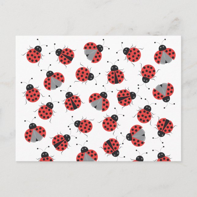 Ladybugs pattern postcard (Front)