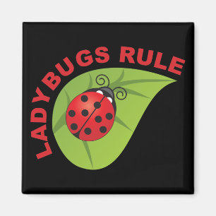 Ladybugs Rule Magnet