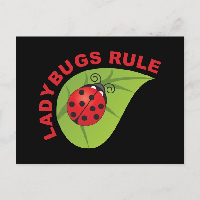 Ladybugs Rule Postcard (Front)