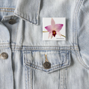 Laelia Ancep 2 Inch Square Button