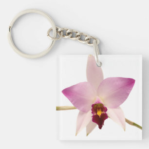 Laelia Ancep Keychain