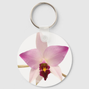Laelia Ancep Keychain
