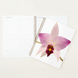 Laelia Ancep Planner