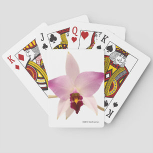 Laelia Ancep Playing Cards
