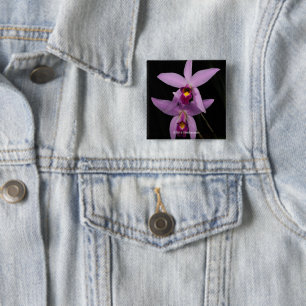 Laelia Anceps 2 Inch Square Button