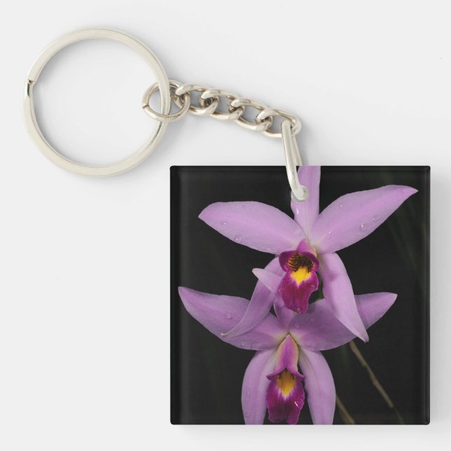 Laelia Anceps Keychain (Front)