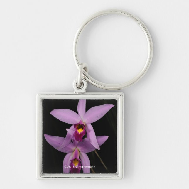 Laelia Anceps Keychain (Front)