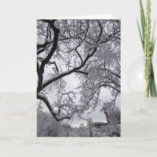 Lafayette Square, snowy trees Card