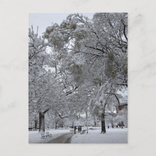 Lafayette Square, Washington, DC, winter path Postcard