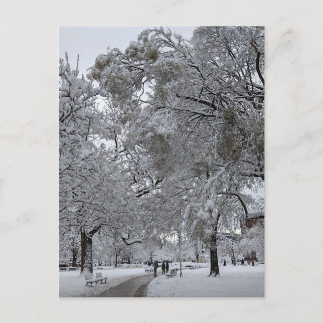 Lafayette Square, Washington, DC, winter path Postcard (Front)