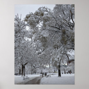 Lafayette Square, Washington, DC, winter path Poster