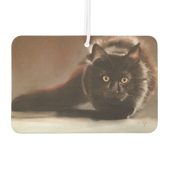 "l'affût" drawing with dry pastel air freshener (Back)