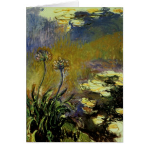 L'Agapanthus