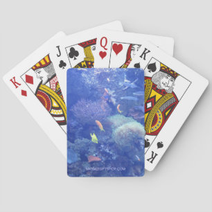 LAGOON PLAYING CARDS