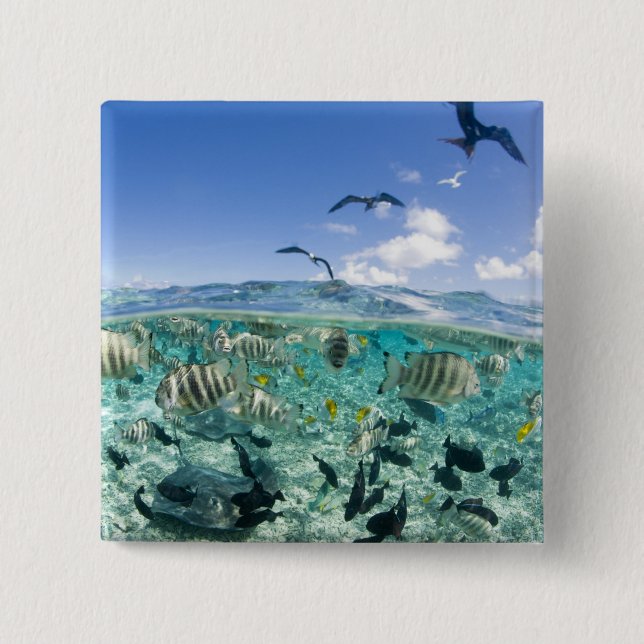 Lagoon safari trip featuring Stingrays 2 Inch Square Button (Front)
