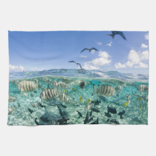 Lagoon safari trip featuring Stingrays Kitchen Towel