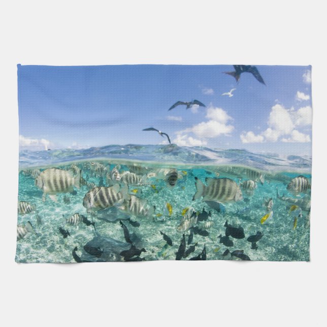 Lagoon safari trip featuring Stingrays Kitchen Towel (Horizontal)
