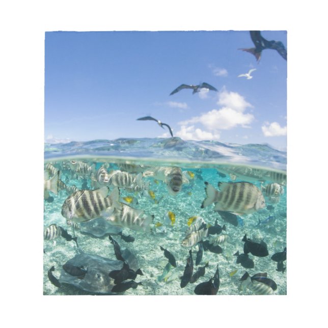 Lagoon safari trip featuring Stingrays Notepad (Front)