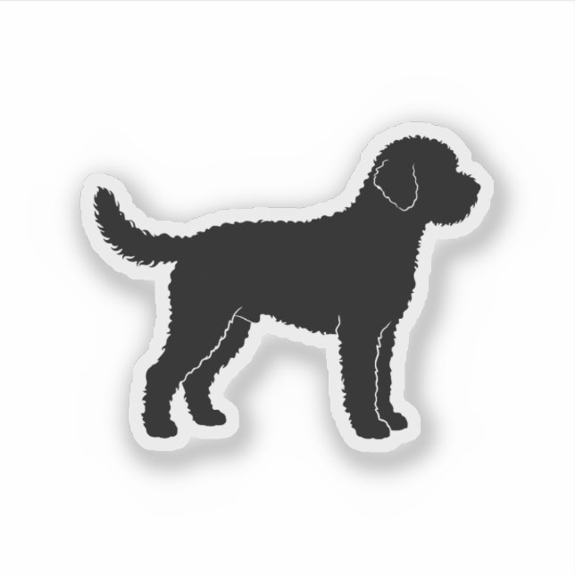Lagotto Romagnolo (Front)