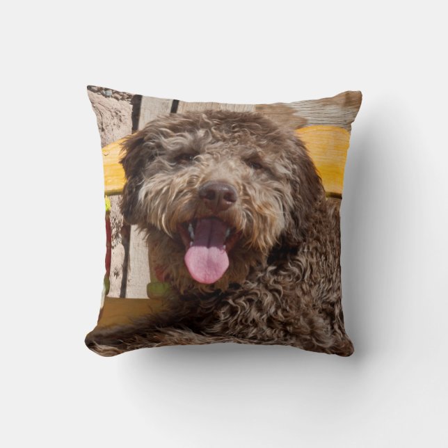 Lagotto Romagnolo Lying On A Wooden Bench Throw Pillow (Front)