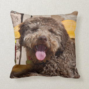 Lagotto Romagnolo Lying On A Wooden Bench Throw Pillow