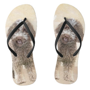 Lagotto Romagnolo Painting - Cute Original Dog Art Flip Flops