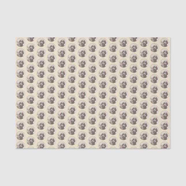 Lagotto Romagnolo Painting - Cute Original Dog Art Tissue Paper (Front)