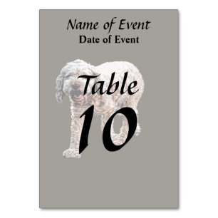 Lagotto Romagnolo Table Number