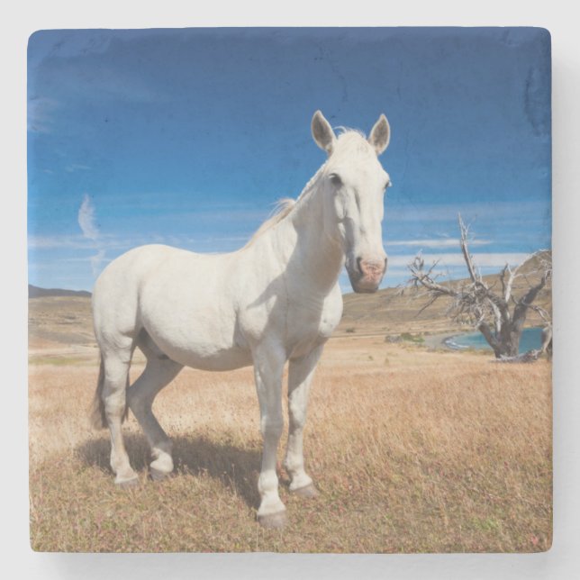 Laguna Azul, landscape with horses Stone Coaster (Front)
