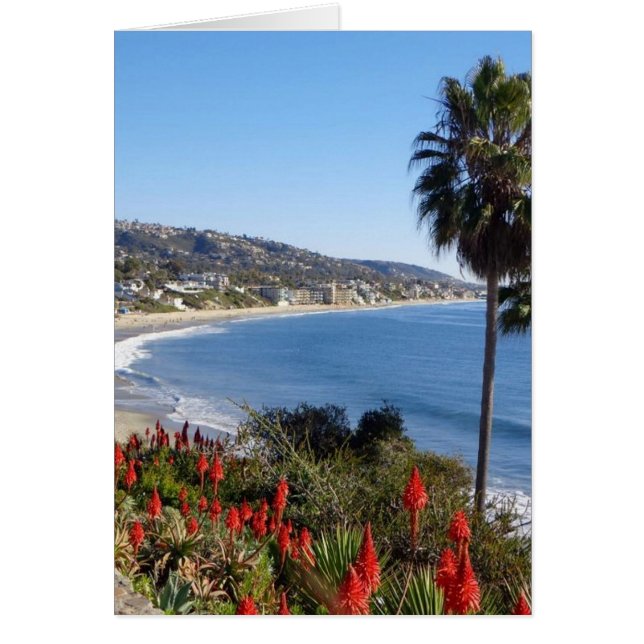 laguna beach californie (Devant)