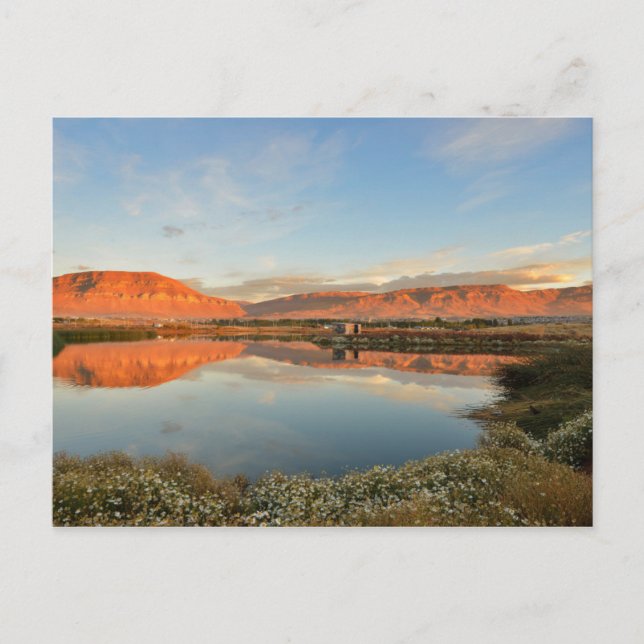 Laguna Nimez Sunset, El Calafate Postcard (Front)