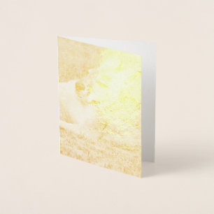 Laid-back Kangaroo Foil Card
