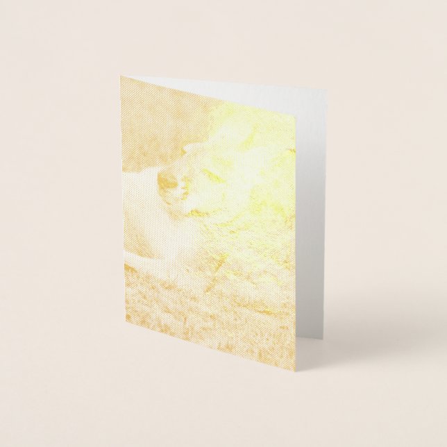 Laid-back Kangaroo Foil Card (Front)