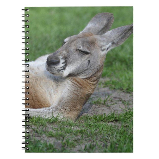 Laid-back Kangaroo Notebook (Front)