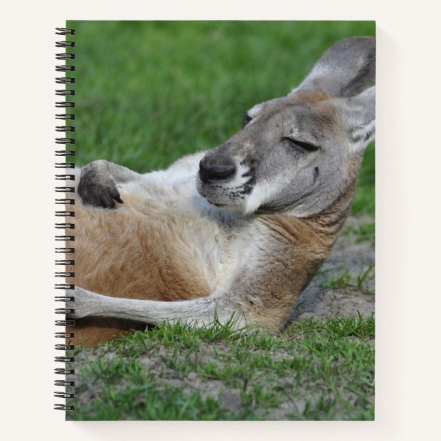 Laid-back Kangaroo Notebook (Front)