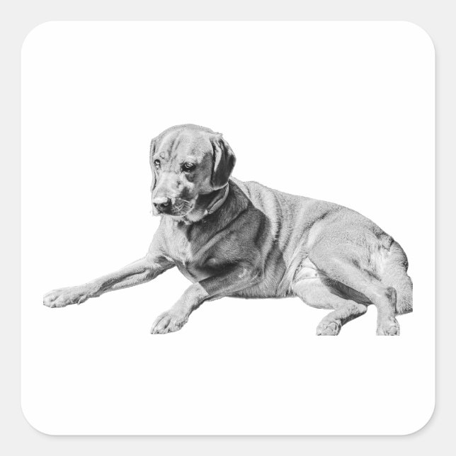 Laid-Out Dog, Chill Vibe Square Sticker (Front)