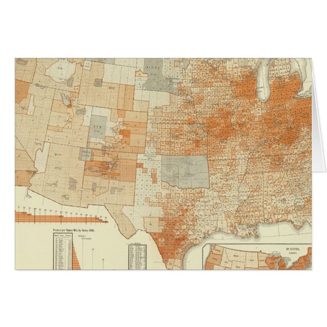 Laine (Devant horizontal)