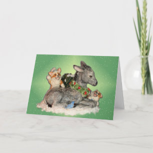Laisse-le neiger ! Carte de Noël Corgis & Donkey