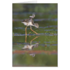 Laisse-moi voir tes ailes