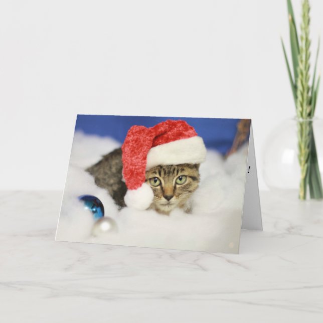Laisser neiger Cat Carte de Noël (Devant)