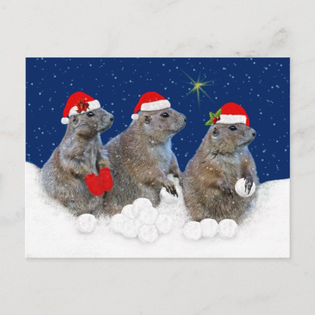 Laisser neiger la carte postale de Noël (Devant)